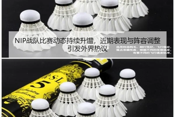 NIP战队比赛动态持续升温，近期表现与阵容调整引发外界热议（DouYu）